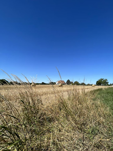 Photo de Le Domaine de La Raynière à Saint-Antoine-du-Rocher (37360)