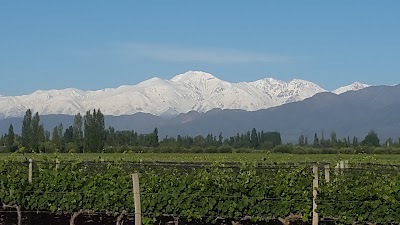 Photos of Camping Vieytes