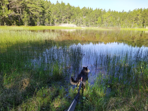 Tångbergets Naturreservat - Thumbnail