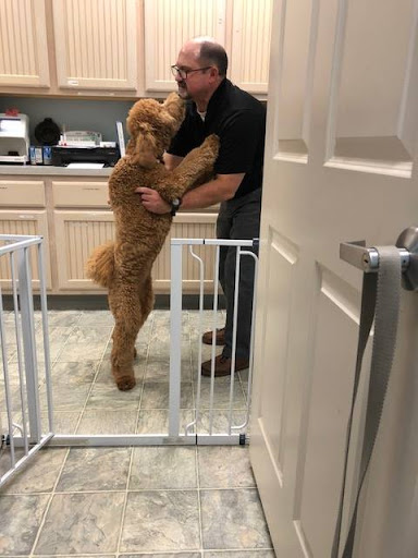 Bayside Animal Hospital | Kemah, TX