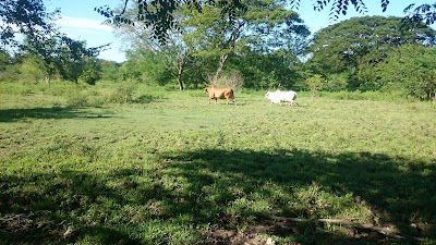 Photos of granja la esperanza