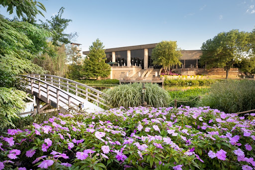 Creation Museum - Visual