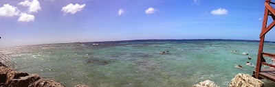 Photos of The Palm Island