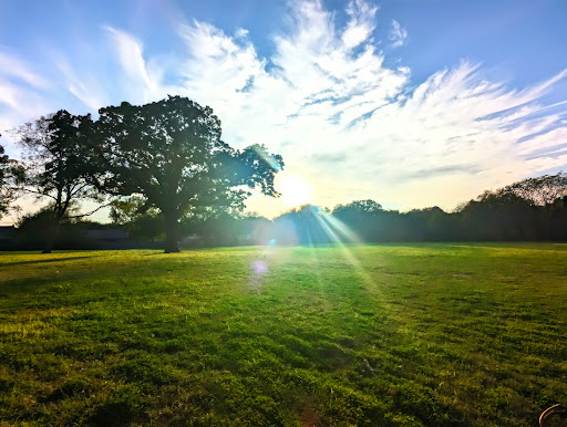 Deaver Park - Visual