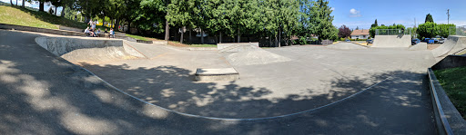 Ladysmith Skatepark Gallery - Canada