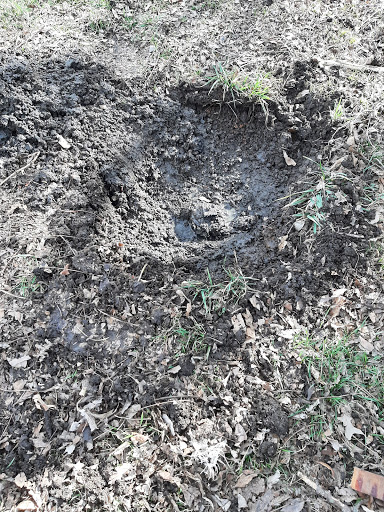Southwest Septic Pumping - Thumbnail