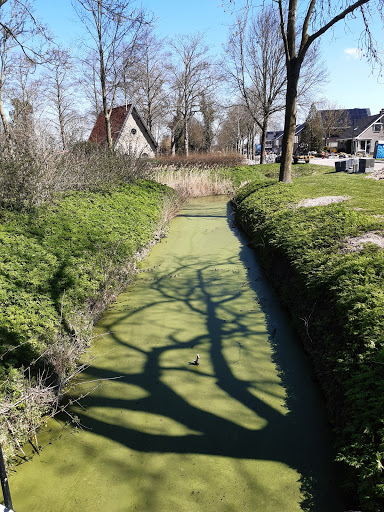 Algemene Begraafplaats Bolsward - Thumbnail