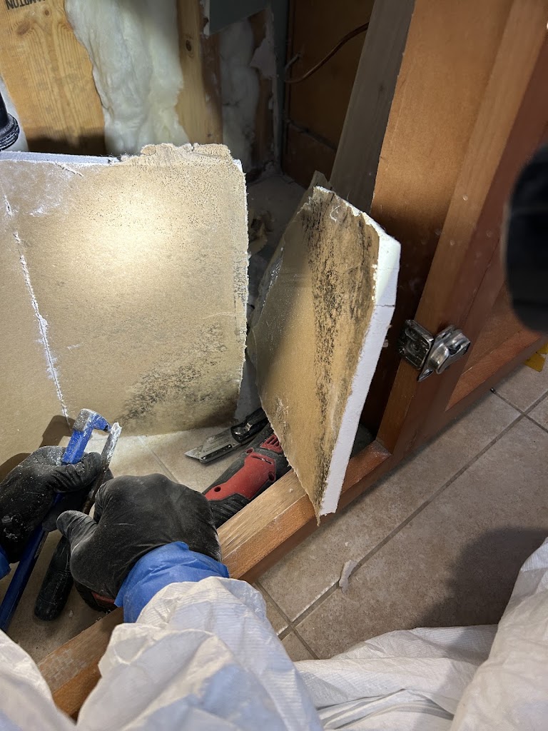 Pacific Water Restoration LLC photo