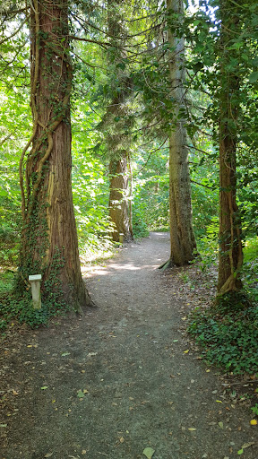 Hälleviks arboretum start - Thumbnail