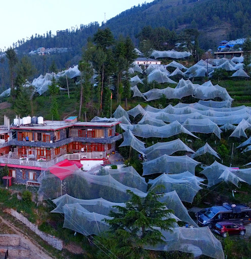 🌿 Escape to the hills at Talaighar Farmstay, Shimla — where peaceful mountain views, fresh Himal… post image