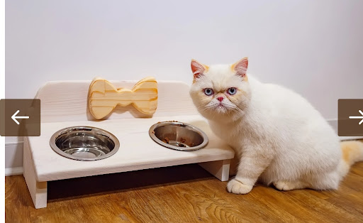 Petplaying - Visual