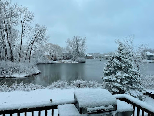 Wedgewood Subdivision - Wetlands - Thumbnail