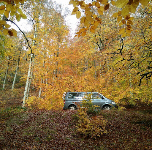 Taxi AUÑAK - Roncesvalles - Aezkoa - Garralda