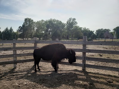 Buffalo Bill Ranch State Historical Park Museum