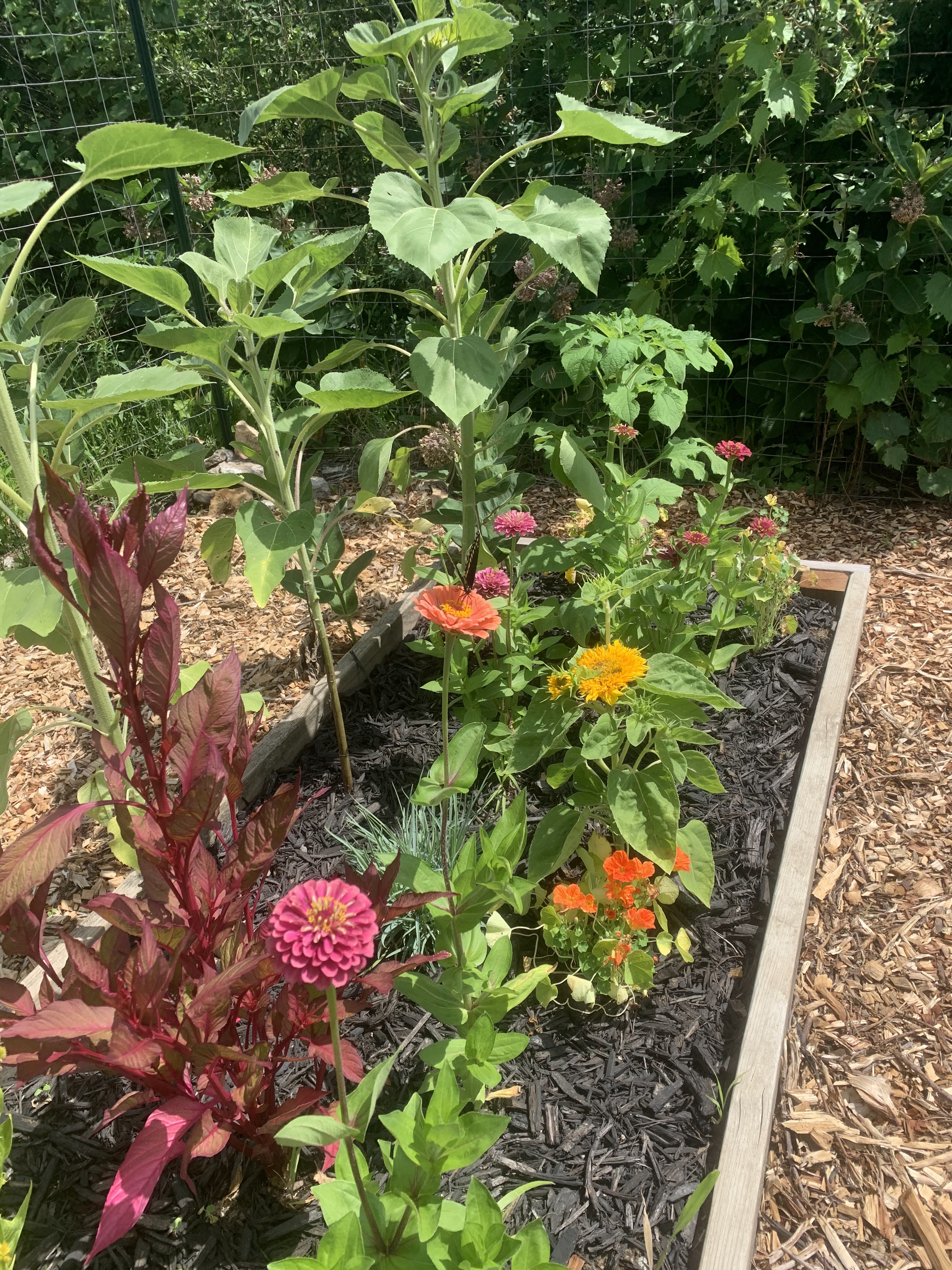 Grow With Me Gardens