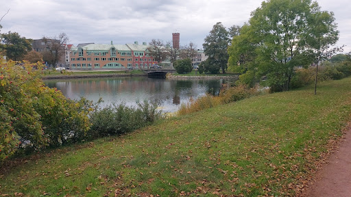 Rävspelet - Visual