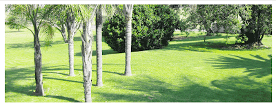 Photos of Newcastle Country Lodge