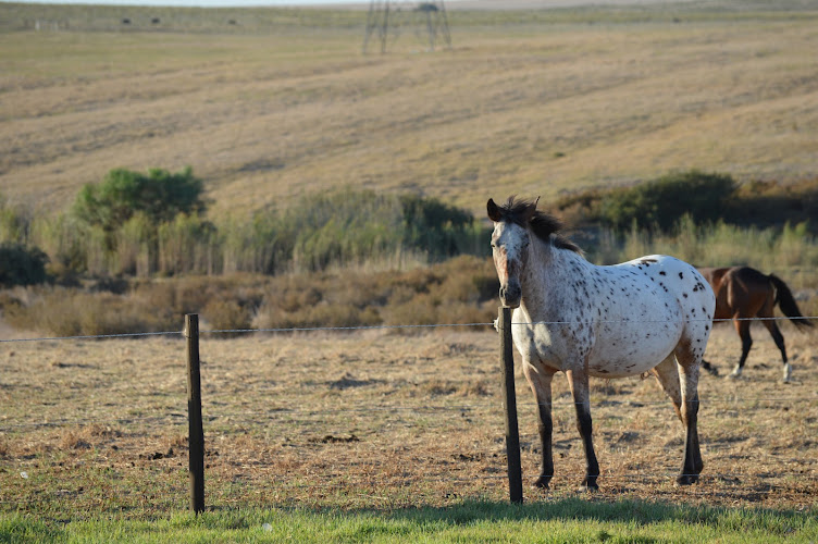 Allemanskloof Farm