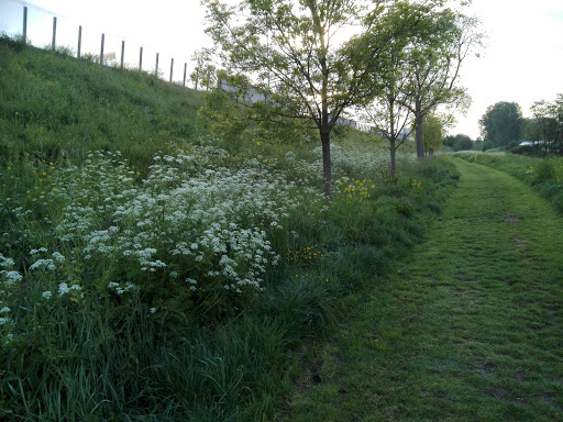 Groen wandelpad langs de A15 Gallery - Netherlands