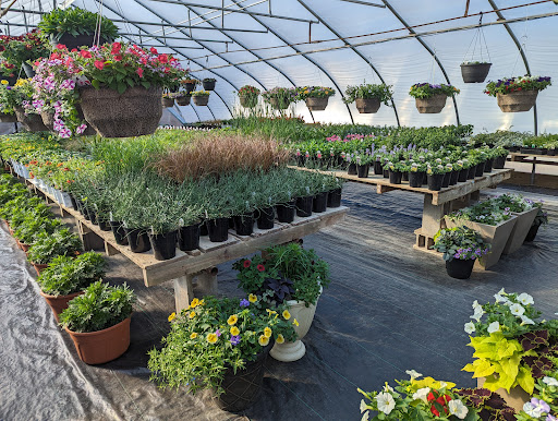 Annies Greenhouse - Thumbnail