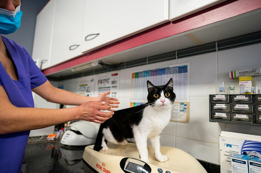 Centre Veterinari Alella