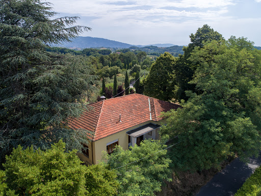 Kiddywinks , International Childcare & Forest School on the Lucca Hills - Thumbnail