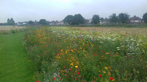 Durdan's Park Primary School - Thumbnail