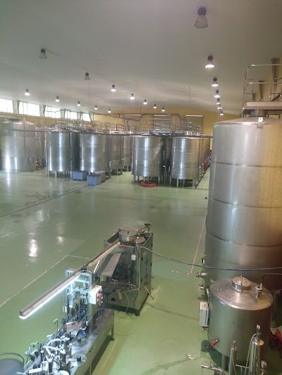 Photos of Bodegas Gordonzello SA