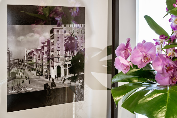 Birkin Marina by null