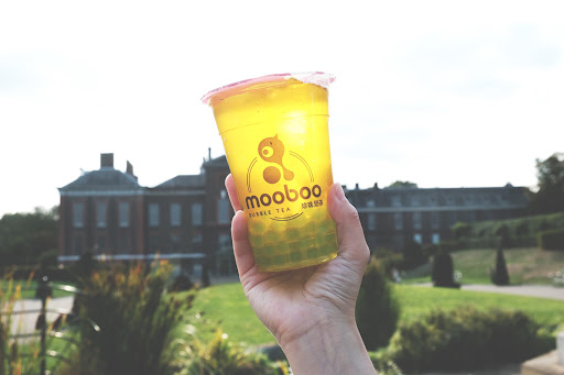 Mooboo - Visual