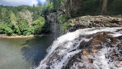 Betty Dunn Nature Center