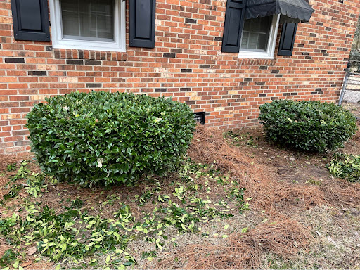 Cipollas Home Improvement, LLC - Thumbnail