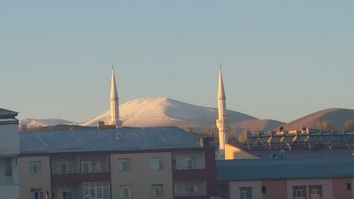 Bulanık Arena Stadı