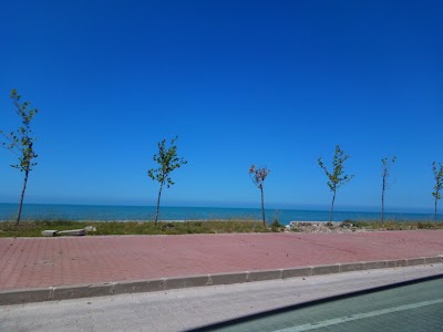 Photos of A-101-cide Şubesi
