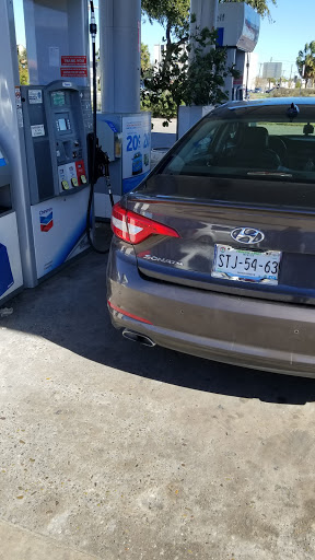 Chevron Laredo - Visual