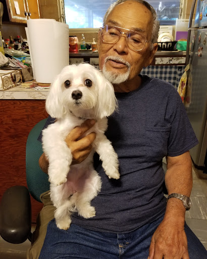 Maui Veterinary Clinic - Thumbnail
