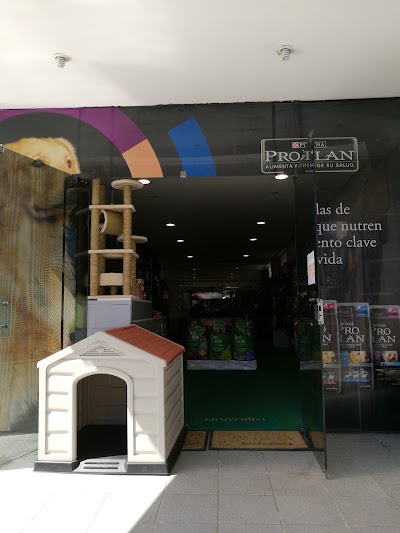 Photos of Animaladas