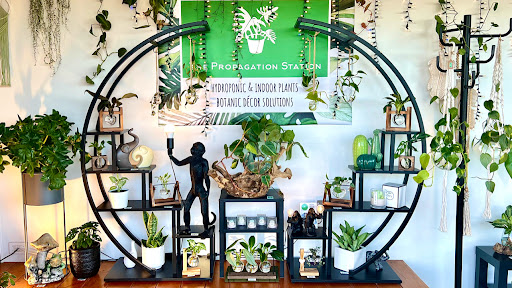 The Propagation Station - Thumbnail