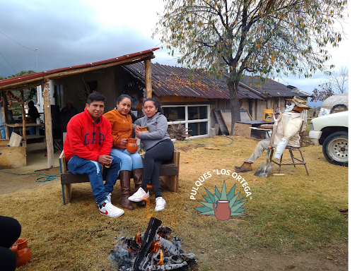 Pulques Los Ortega - Thumbnail
