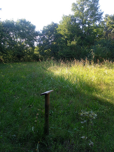 Bosco di Campagna Gallery - Italy