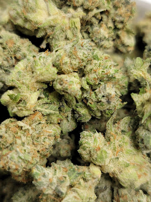 Photo of SANNNY'S CANNABIS