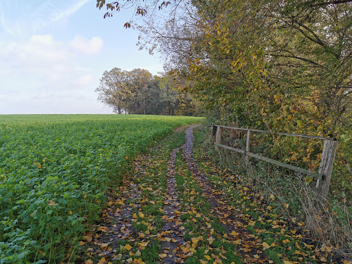 Redener Weg - Thumbnail