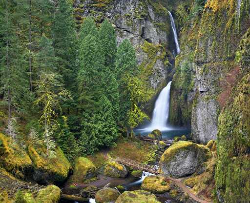 First Nature Tours