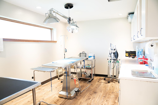 Animal Wellness Center Waukesha - Thumbnail