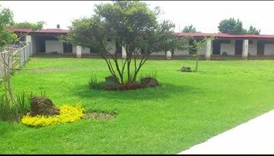 Photos of El Zentauro