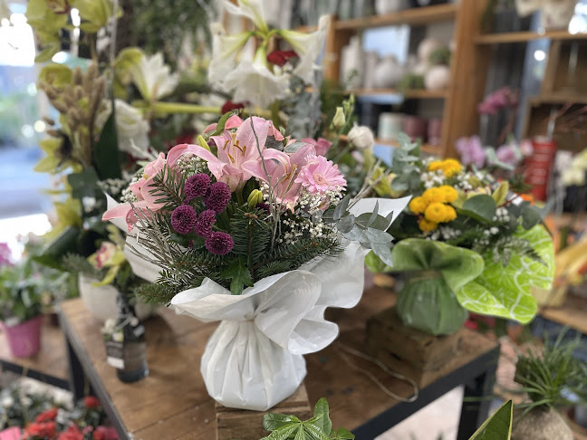 Jardin Fleuri - Paysagiste