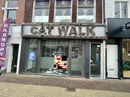 Cat Walk