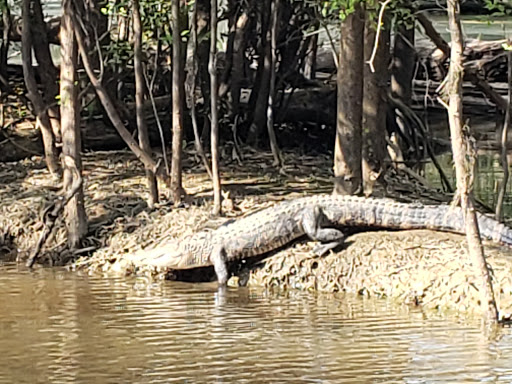 Bluff Springs Recreation Area - Thumbnail