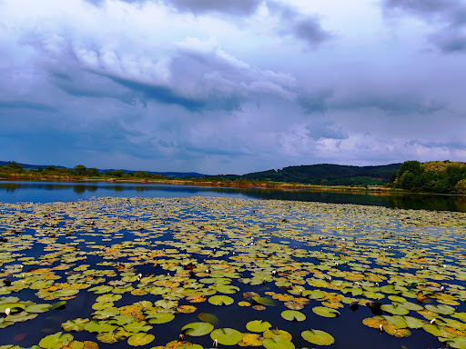 Breitunger Seen - Visual