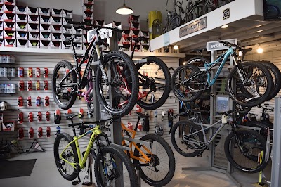 Photos of Lakeshore Bike